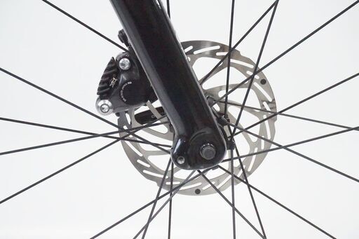 RALEIGH 「ラレー」 CARLTON-C 2020年モデル グラベルロード
