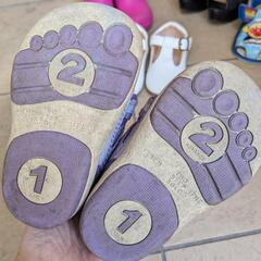 IFME 12.5cmの画像