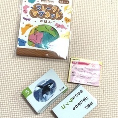 【知育】動物かるたと地図マグネット