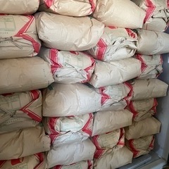 玄米　ヒノヒカリ30キロ　令和5年産　⑤