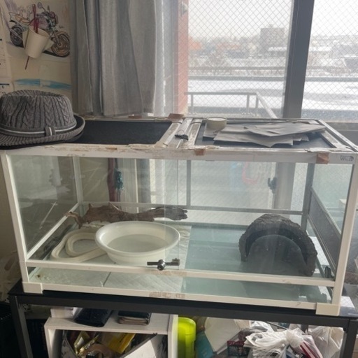 爬虫類用ケージ