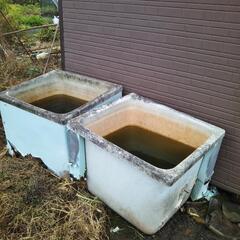 風呂桶(畑の水場用)の画像