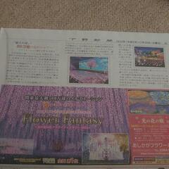 あしかがフラワーパーク