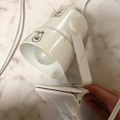 ライト　スポットライト　電気の画像