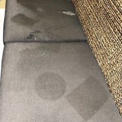 ヒヤシンスソファ　の画像