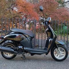 大特価90000→55000【ホンダ】【カードOK】トゥデイ ポピュラーな原付 乗りやすい おすすめ原付 美品の画像