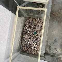 水槽の画像