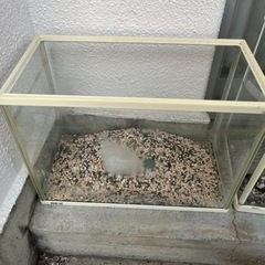 水槽の画像