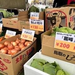 規格外野菜、路地野菜など買い取ります！ - 広島市