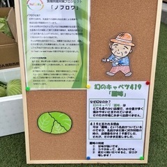 規格外野菜、路地野菜など買い取ります！ - 買いたい/ください