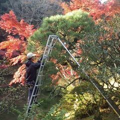 造園スタッフ大募集☆初めての方大歓迎！　創業100年　週休2日制　みどりの中での仕事をしませんかの画像