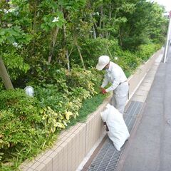 造園スタッフ大募集☆初めての方大歓迎！　創業100年　週休2日制　みどりの中での仕事をしませんかの画像