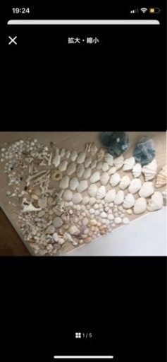 沖縄貝殻大量　シーグラス  貝殻クラフト　貝殻アート　石垣島貝殻手作り工作に