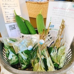 朝採れ無農薬野菜！朝市10:00〜
