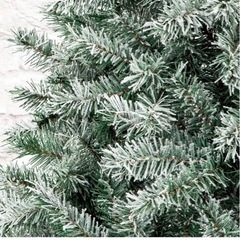 クリスマスツリーお譲りします