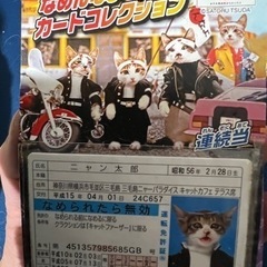 なめ猫グッズ 昭和 レトロの画像