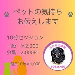 【🐾12/12（火）出店🐾】フライトわんこマルシェVol.2～三ノ宮～