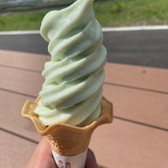 SINSYU温泉巡り - 友達