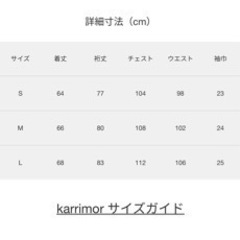 Karrimor   triton light JKT W'sの画像