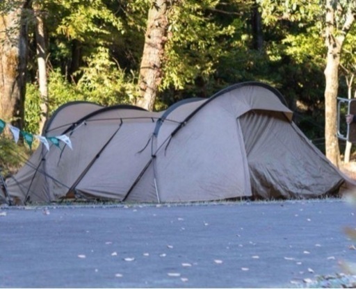 ゼインアーツ　ロガ4