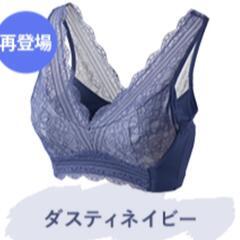 正規品　【新品】LUNA　ルーナ ナチュラルアップ ナイトブラ