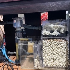 全循環型！120cm 水槽（淡水・海水用）の画像