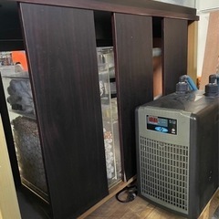 全循環型！120cm 水槽（淡水・海水用）の画像