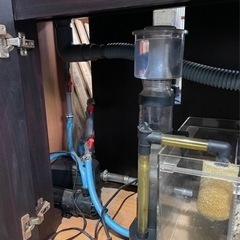 全循環型！120cm 水槽（淡水・海水用）の画像