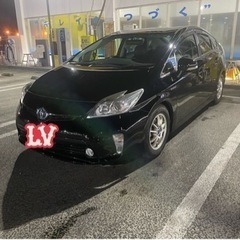 車検1年以上　激安　ローダウン　シートカバー