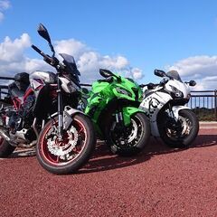大型スーパースポーツ、ストファイ仲間