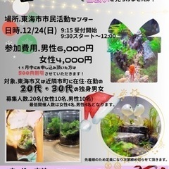 🎄イブに苔アートで💛出会い見つけませんか