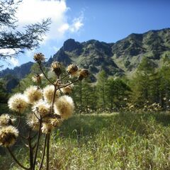登山 情報交換など 中高年 初心者・初級者歓迎