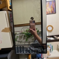 アイリスオーヤマの画像