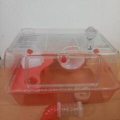 ルーミーゲージ2点取引中ですの画像