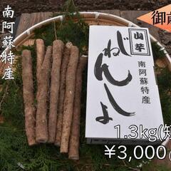 自然薯 その他の中古が安い!激安で譲ります・無料であげます 自然薯 その他の中古が安い!激安で譲ります・無料であげます