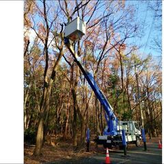 15メーター以下の枝払いをいたします 高い場所のアンテナ交換*電球の交換もいたします  那須町 高所作業車 - 地元のお店