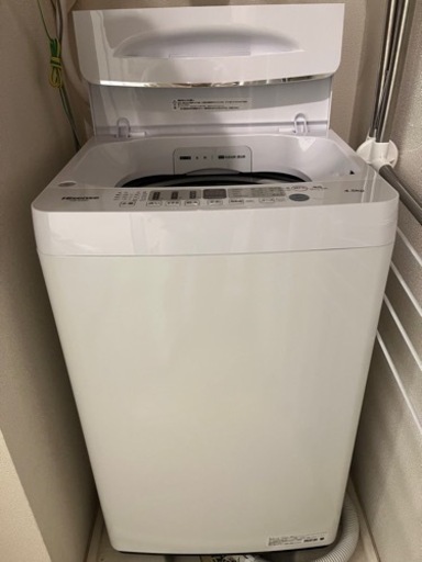 引き取り限定】 洗濯機 Hisense HW-E4504 2021年製