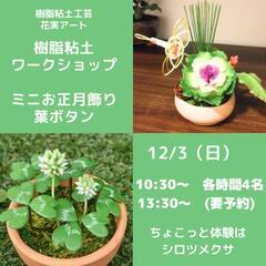 樹脂粘土でミニ葉ボタン　ミニお正月飾りワークショップ✨
