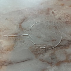 【12/3まで】ローテーブル／白／大理石リメイクシートの画像