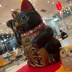 居酒屋｢膳｣OPEN記念★クーポン付き★ - グルメ