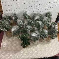 ミニクリスマスツリー　たくさんの画像