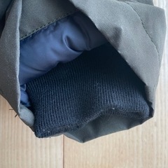 ダントンダウンの画像