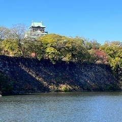 12/3☀️大阪城公園でゆるウォーク🚶‍♀️