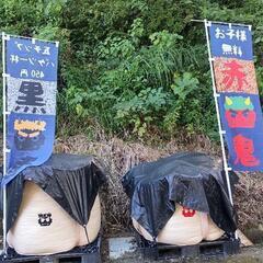 現代和風住宅 黒瓦チップ販売の画像