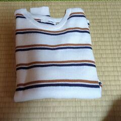 アフリカタロウボーダーニット