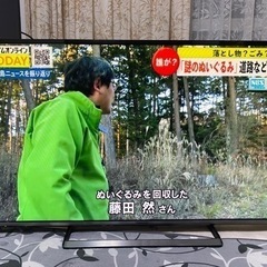 格安！早い者勝ち！一宮市！大画面！しっかり映ります　パナソニック49インチテレビ