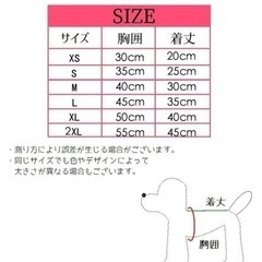 試着のみ★Sサイズ犬用ドレスセットの画像