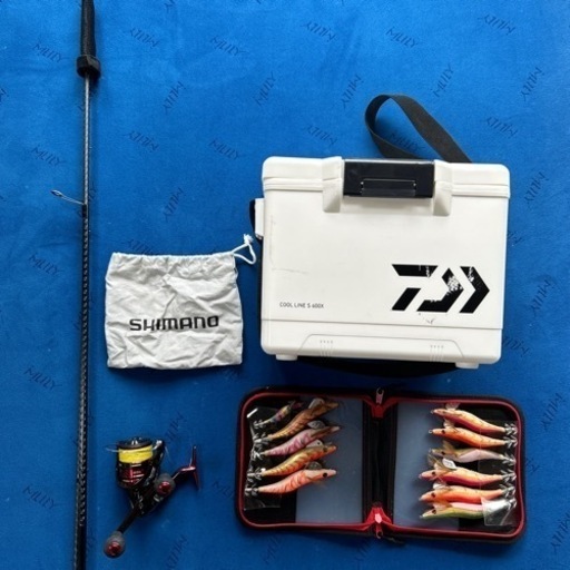 【美品】エギングセット　セフィアBB Sephia BB