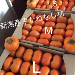 新潟産ひらたねなし柿③