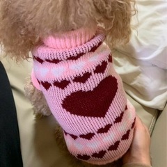 わんちゃん　ニット　XXLの画像